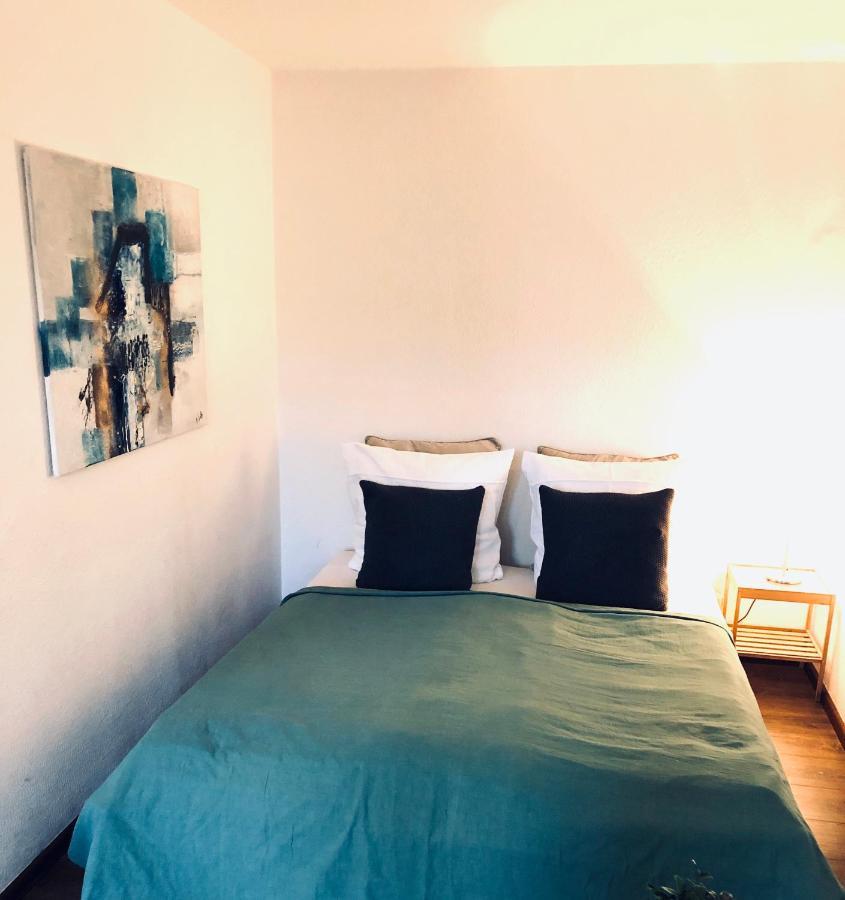 Apartment Tilia 弗赖堡 外观 照片