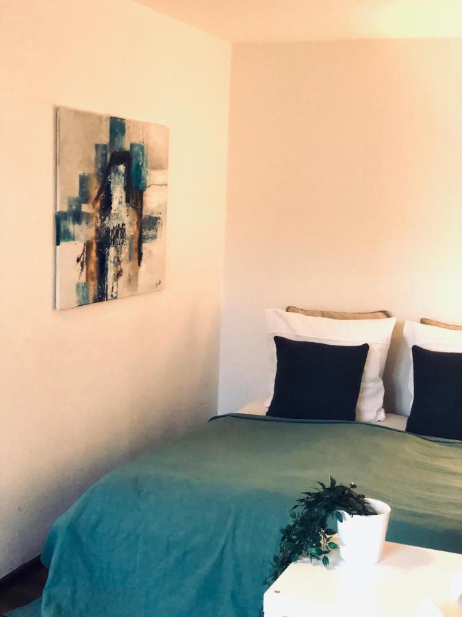 Apartment Tilia 弗赖堡 外观 照片